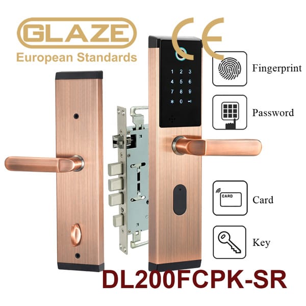 Khóa cửa vân tay DL200 - Ảnh 3